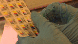 Dan Sai Gon 'soi' nguon goc thit heo bang smartphone hinh anh