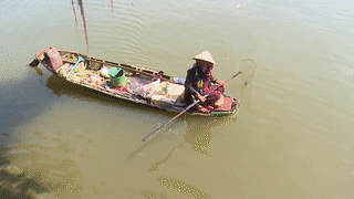 Di chuoc ca phong sinh o Sai Gon ngay dua ong Tao ve troi hinh anh