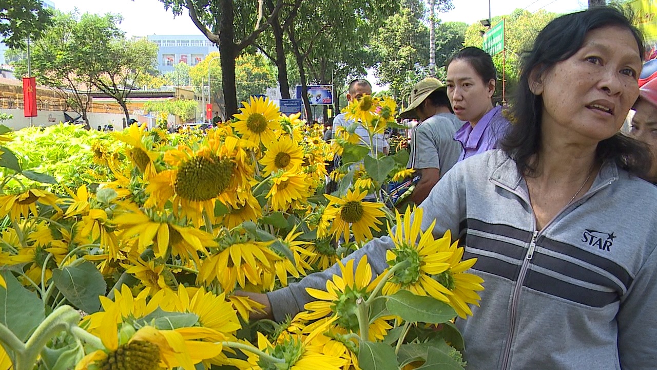 Do xo di mua mai, dao ha gia trua 30 Tet hinh anh