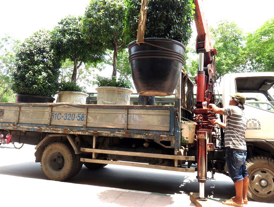 Quan 1 do bo bon cay khach san Majestic gan tram tuoi hinh anh