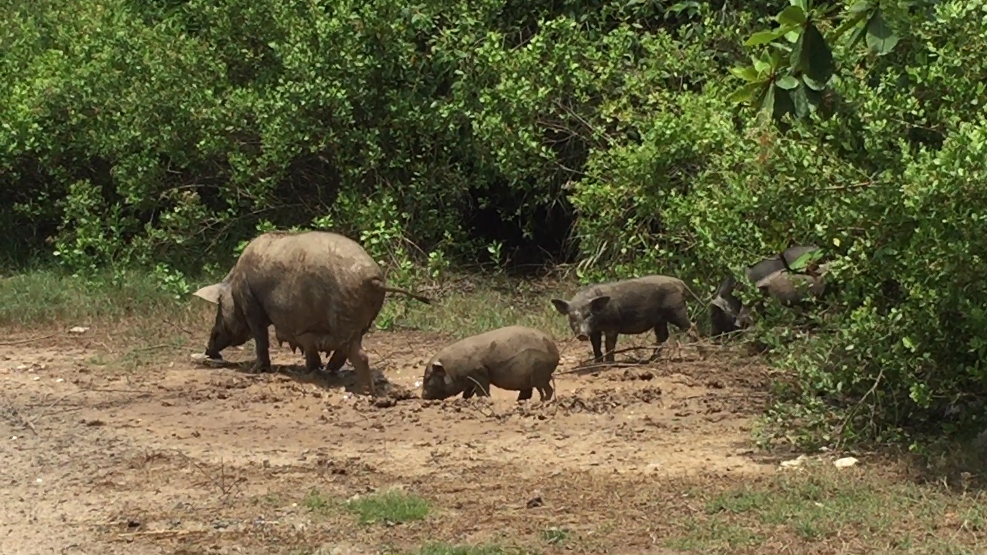 Canh hoang vu cua du an 6 ty do nhin tu tren cao hinh anh