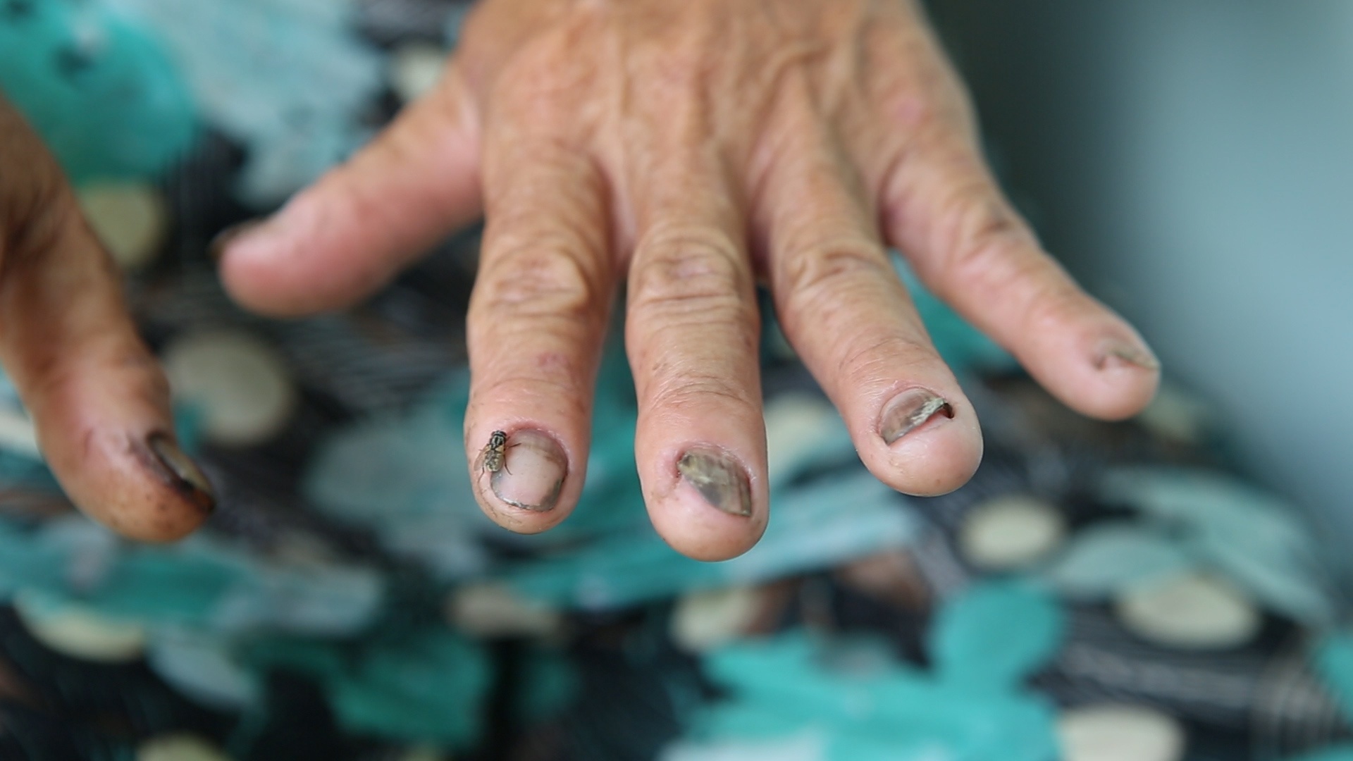 Nguoi dan Da Phuoc: Doi cha song khong noi, doi con sao song? hinh anh