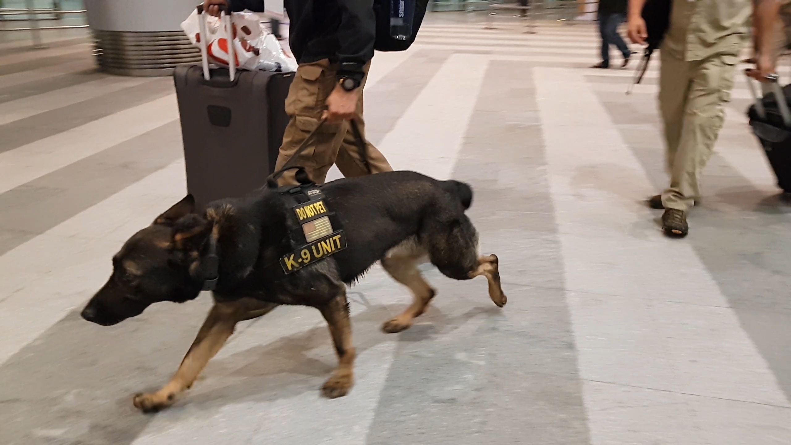 Cho nghiep vu My xuat hien tai san bay Da Nang hinh anh