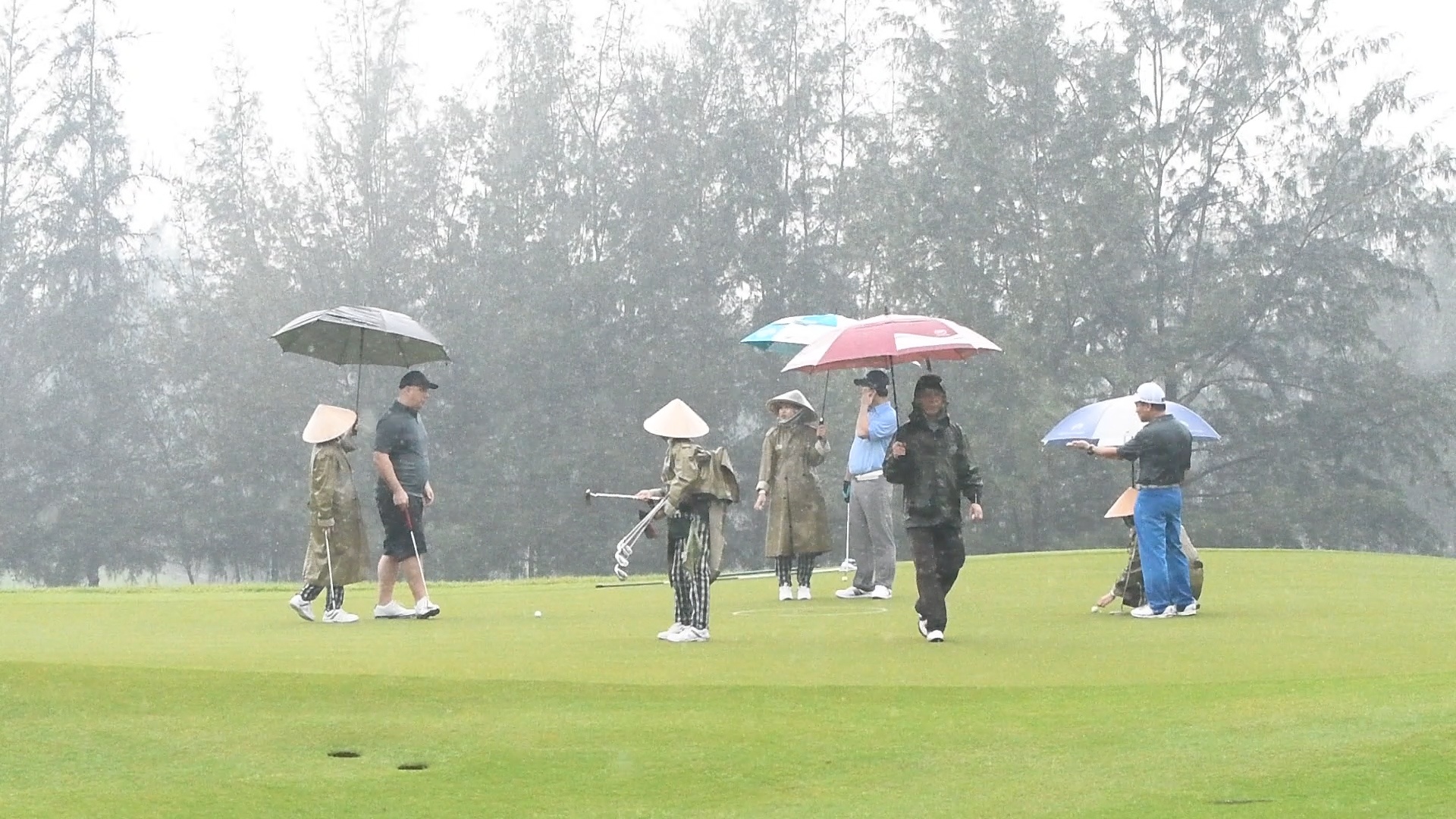 Cac CEO giao luu golf duoi mua ben le APEC hinh anh