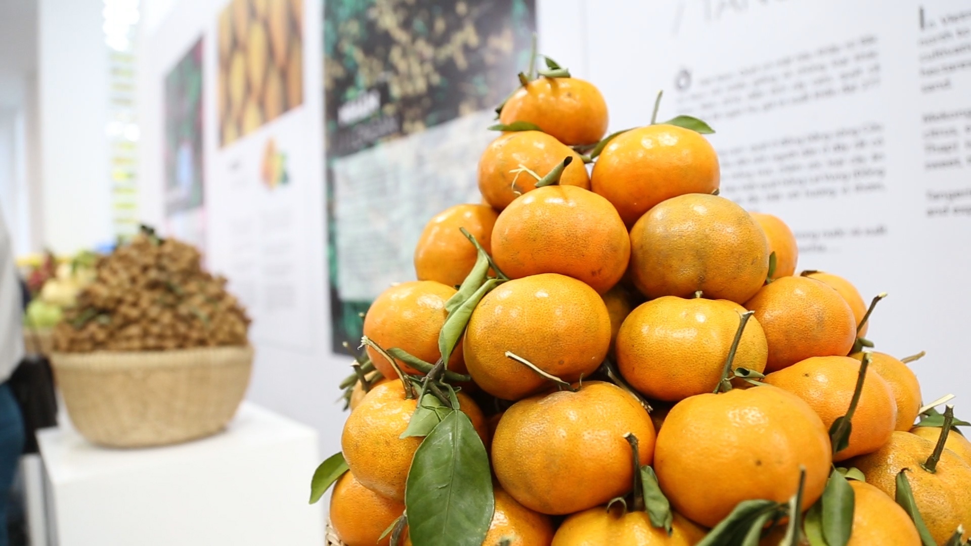 Thu tuong: Rau qua Viet Nam xuat khau vuot ca gao, dau khi hinh anh