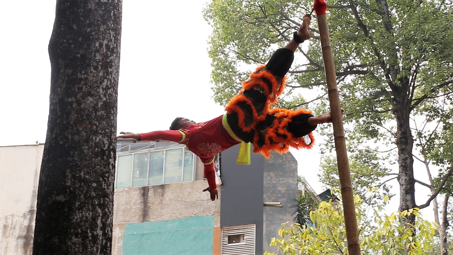 Thot tim voi man bieu dien lan su rong giua duong ngay Via Than Tai hinh anh