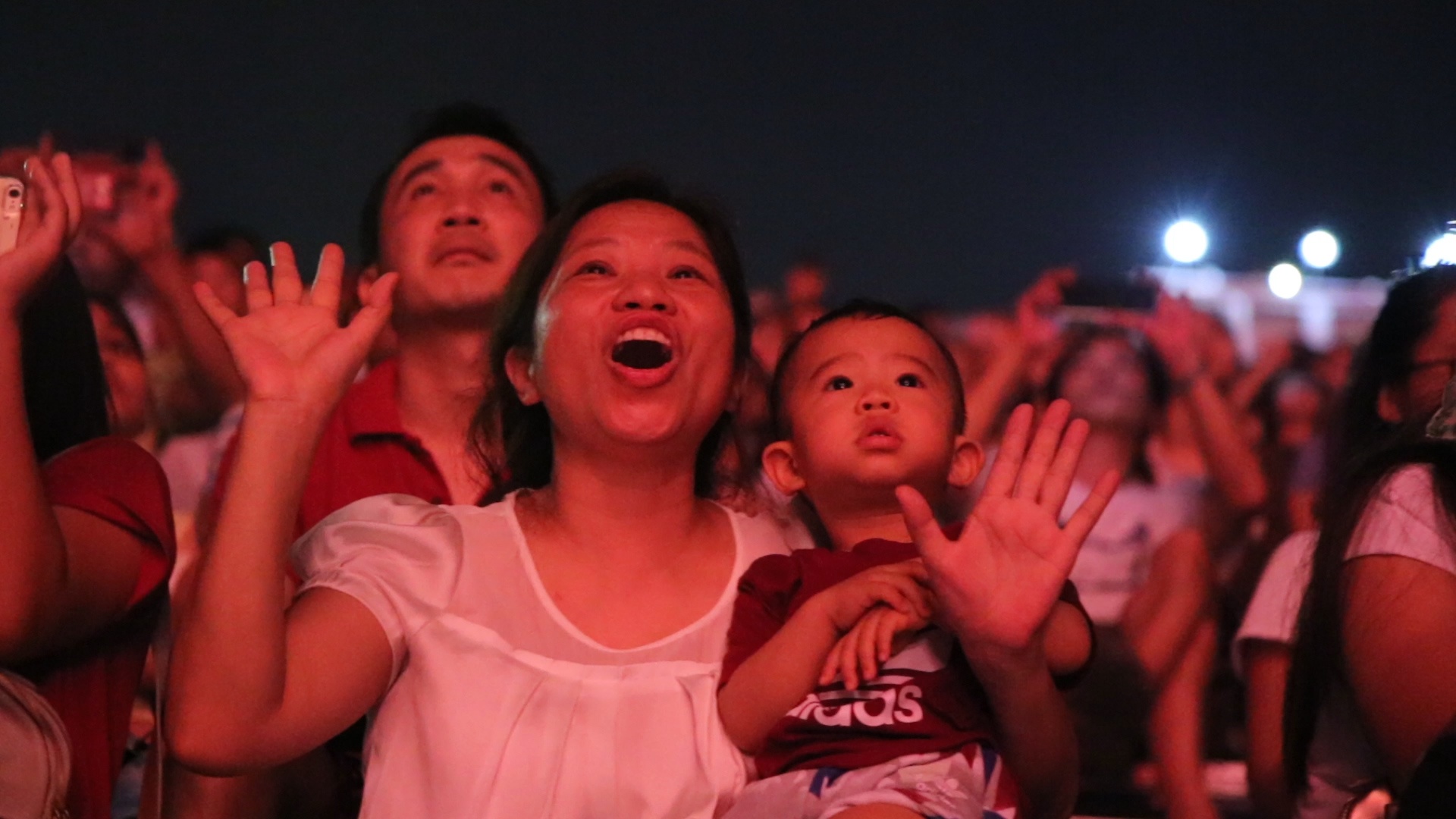 Viet Nam mo man an tuong le hoi phao hoa Da Nang 2018 hinh anh