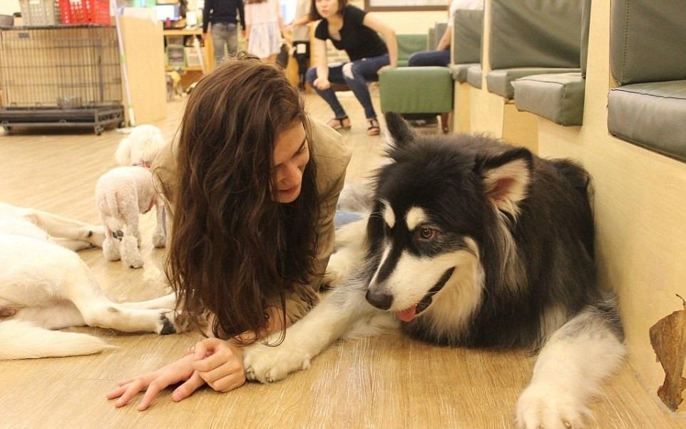 Ca phe cun cung thu hut gioi tre Sai Gon hinh anh