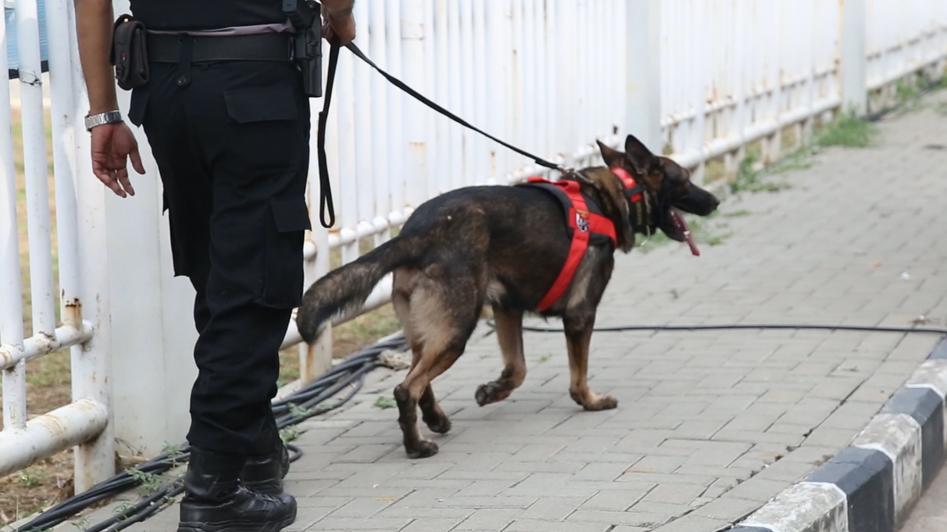 Cho nghiep vu duoc su dung truoc tran tranh HCD tai ASIAD hinh anh