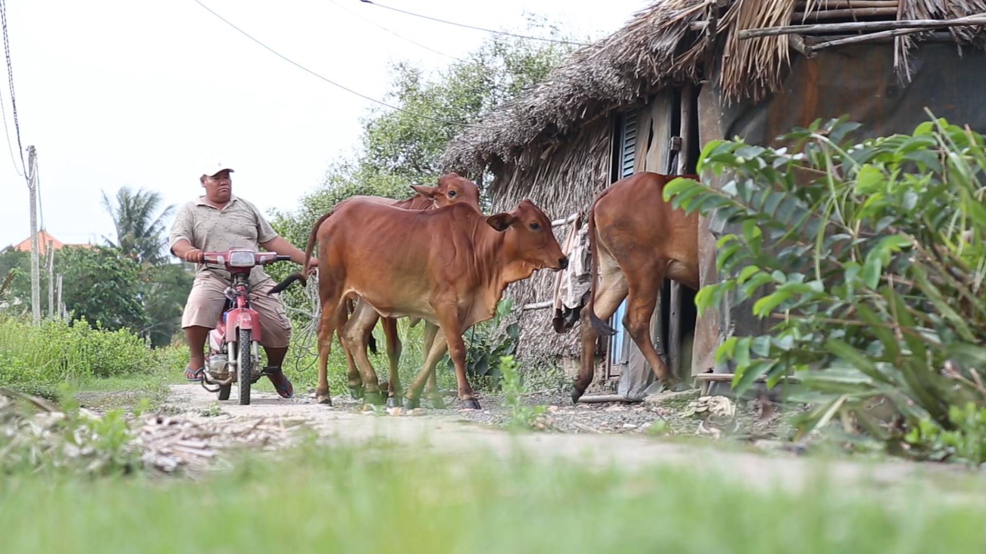 Cuoc song cu dan Thanh My Loi dao lon boi du an treo 14 nam hinh anh