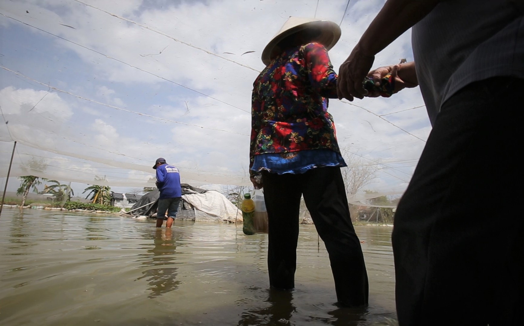 Nha cua bo hoang, hoa mau chet trang o vung ven Sai Gon do ngap hinh anh