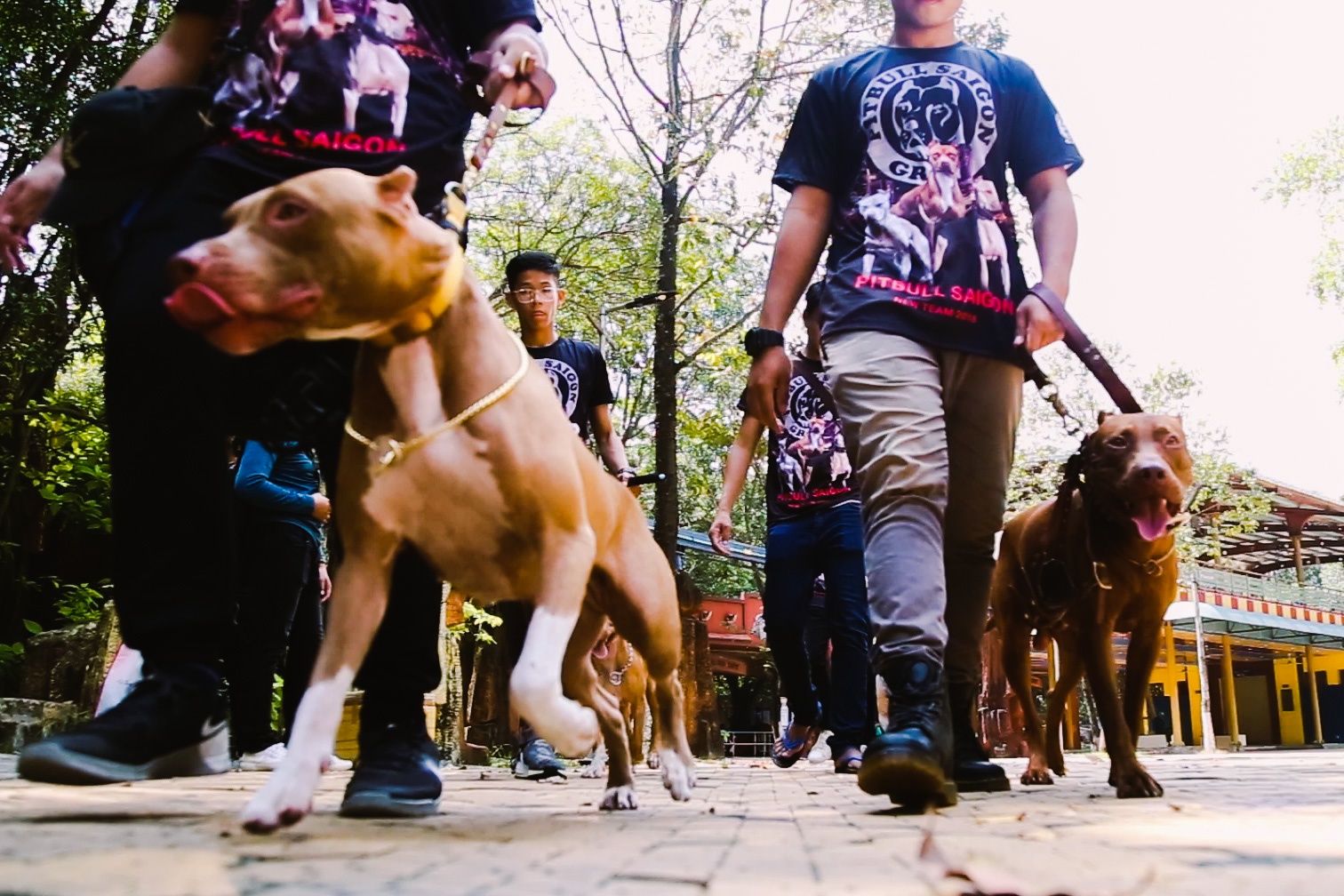 Le hoi quy tu cac chu cho dat tien o Sai Gon hinh anh