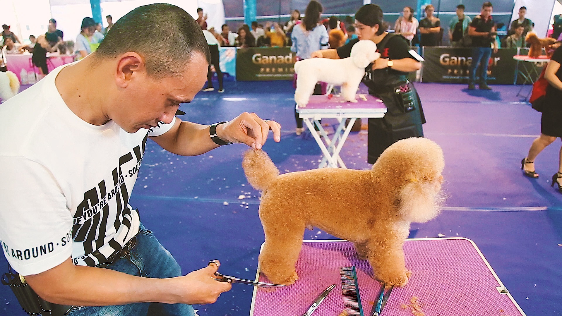 Cuoc thi lam dep cun cung doc dao o Sai Gon hinh anh