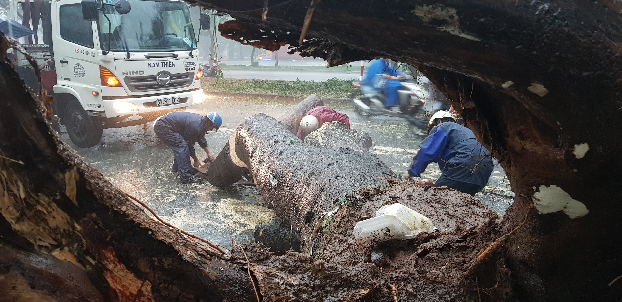 Cay do, nuoc ngap khap Sai Gon hinh anh