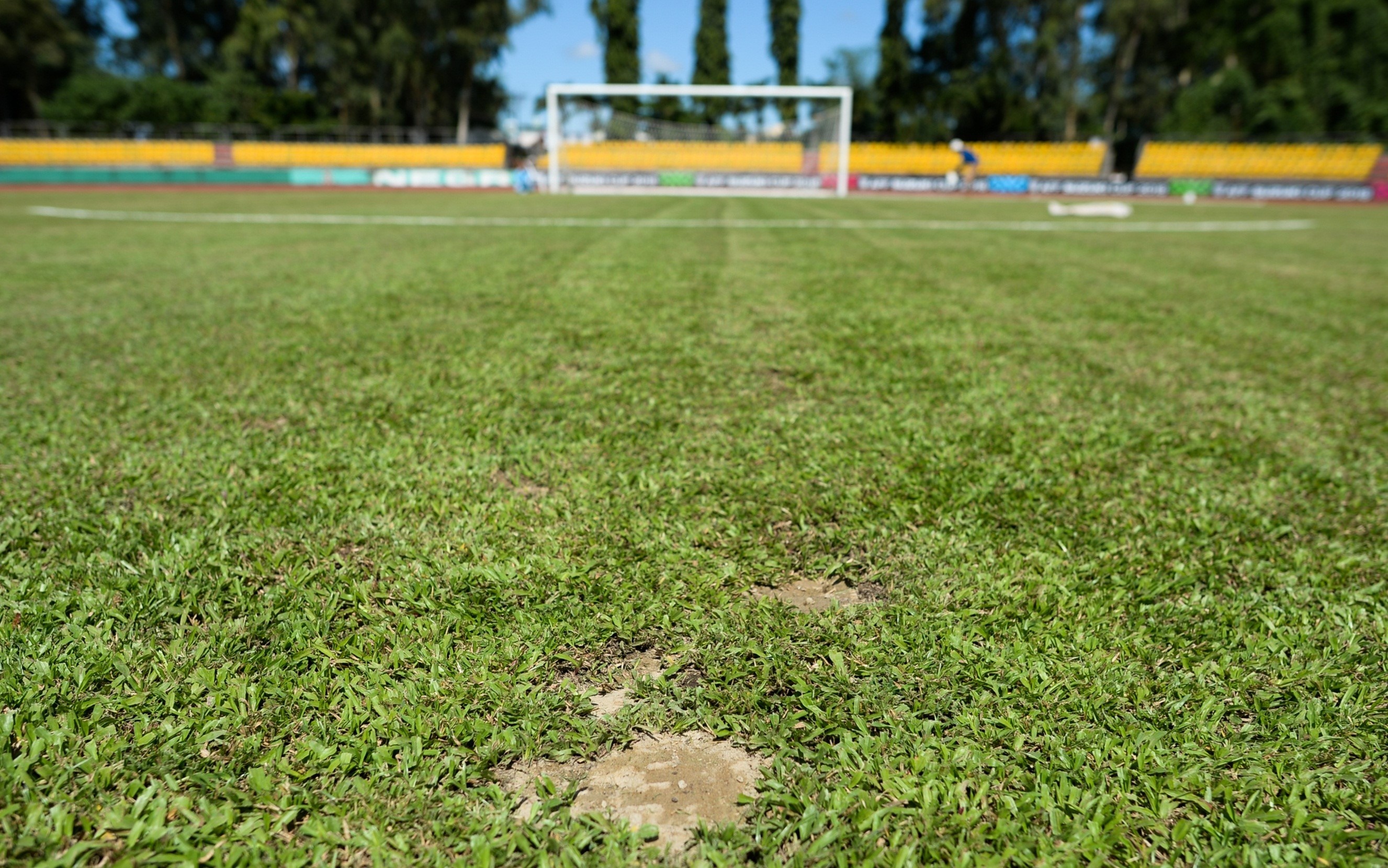 Duy Manh: ‘Cau thu chuyen nghiep phai thich nghi voi san bai chua tot’ hinh anh