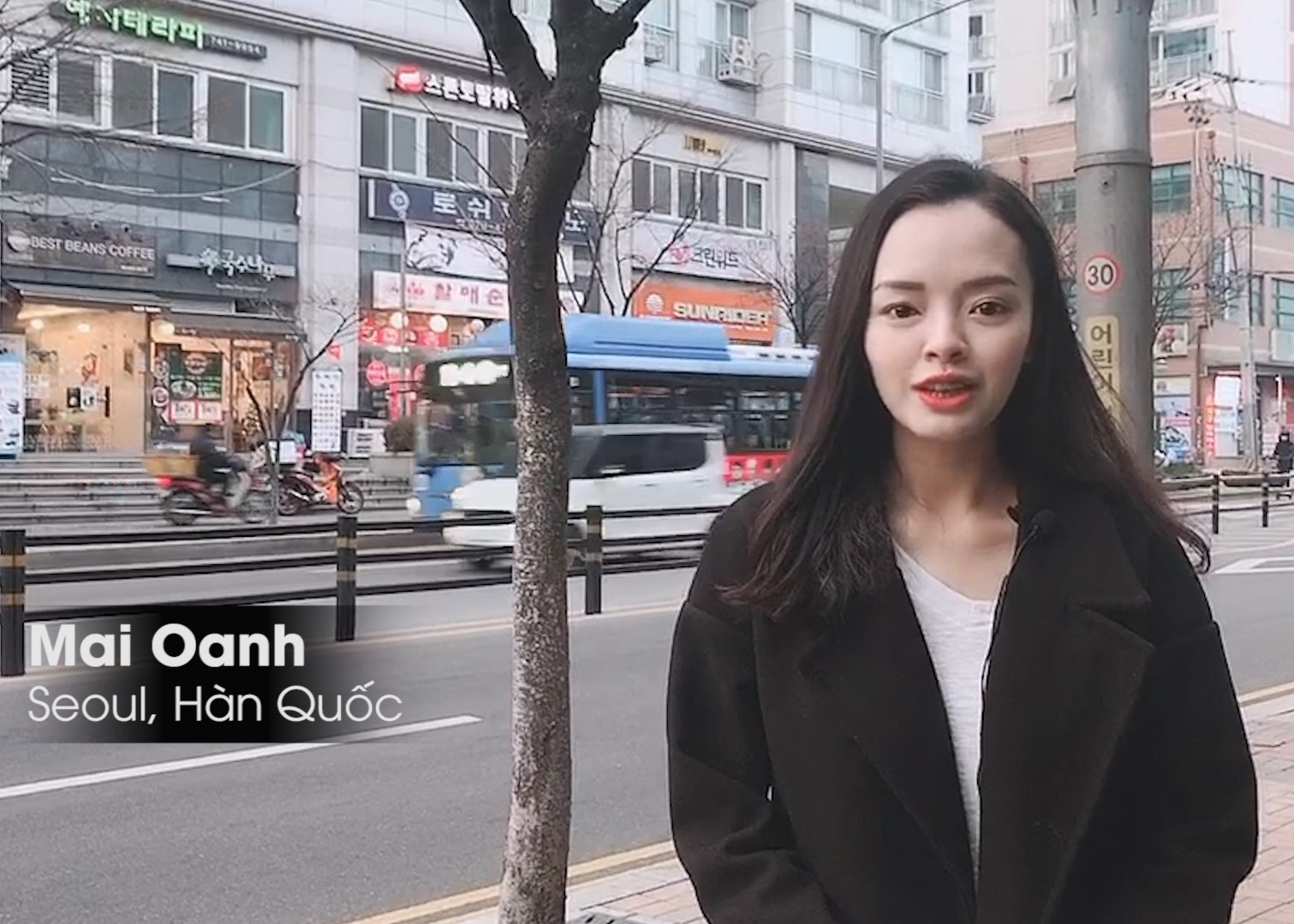 CDV Han Quoc o Seoul tin HLV Park se giup Viet Nam dang quang hinh anh