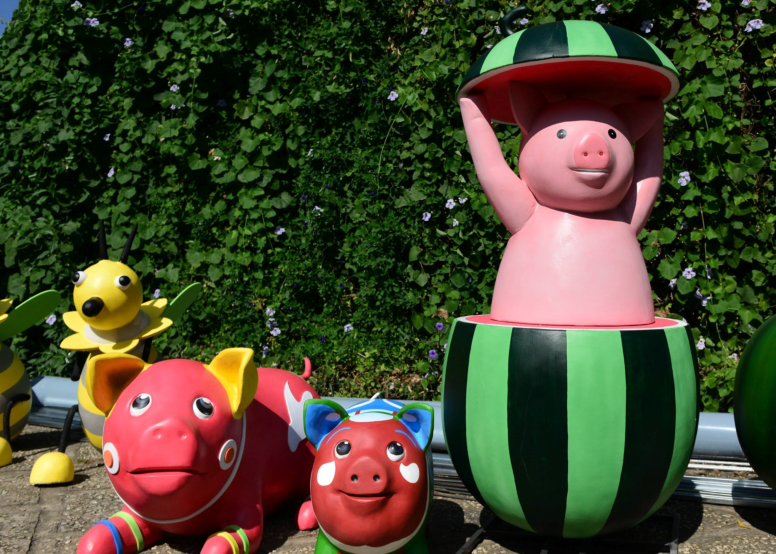 Xuong lam nhung chu heo de trang tri o duong hoa Nguyen Hue 2019 hinh anh