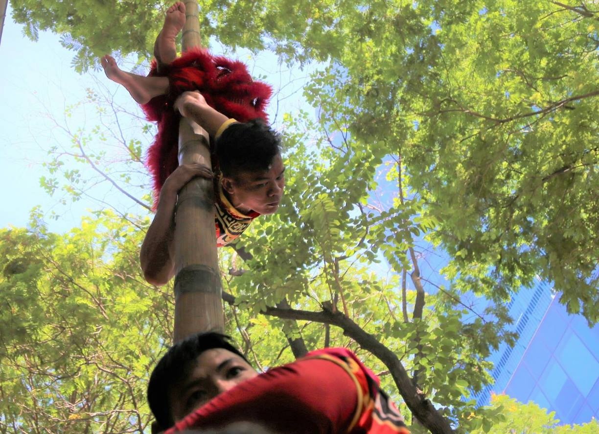 Cung heo quay, mua lan su rong khai truong nam moi hinh anh