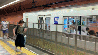 Canh nguoi Nhat duoi theo tau dien ngam sau gio lam hinh anh