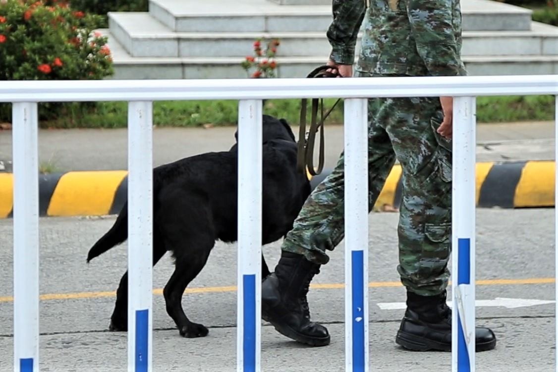 Cho nghiep vu duoc su dung o tran U22 Viet Nam gap Brunei hinh anh