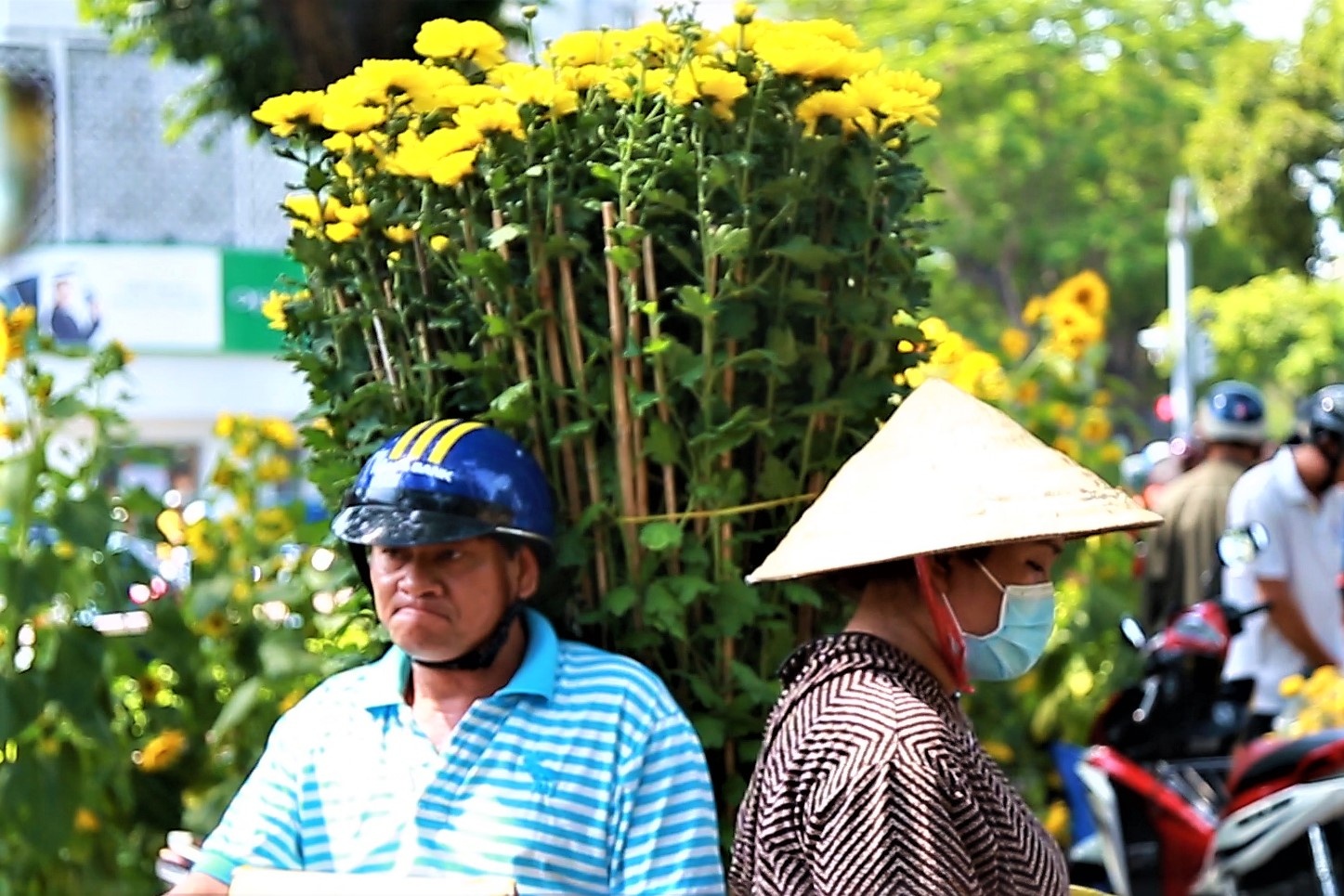 'Khong ban het hoa, chung toi se dap bo' hinh anh
