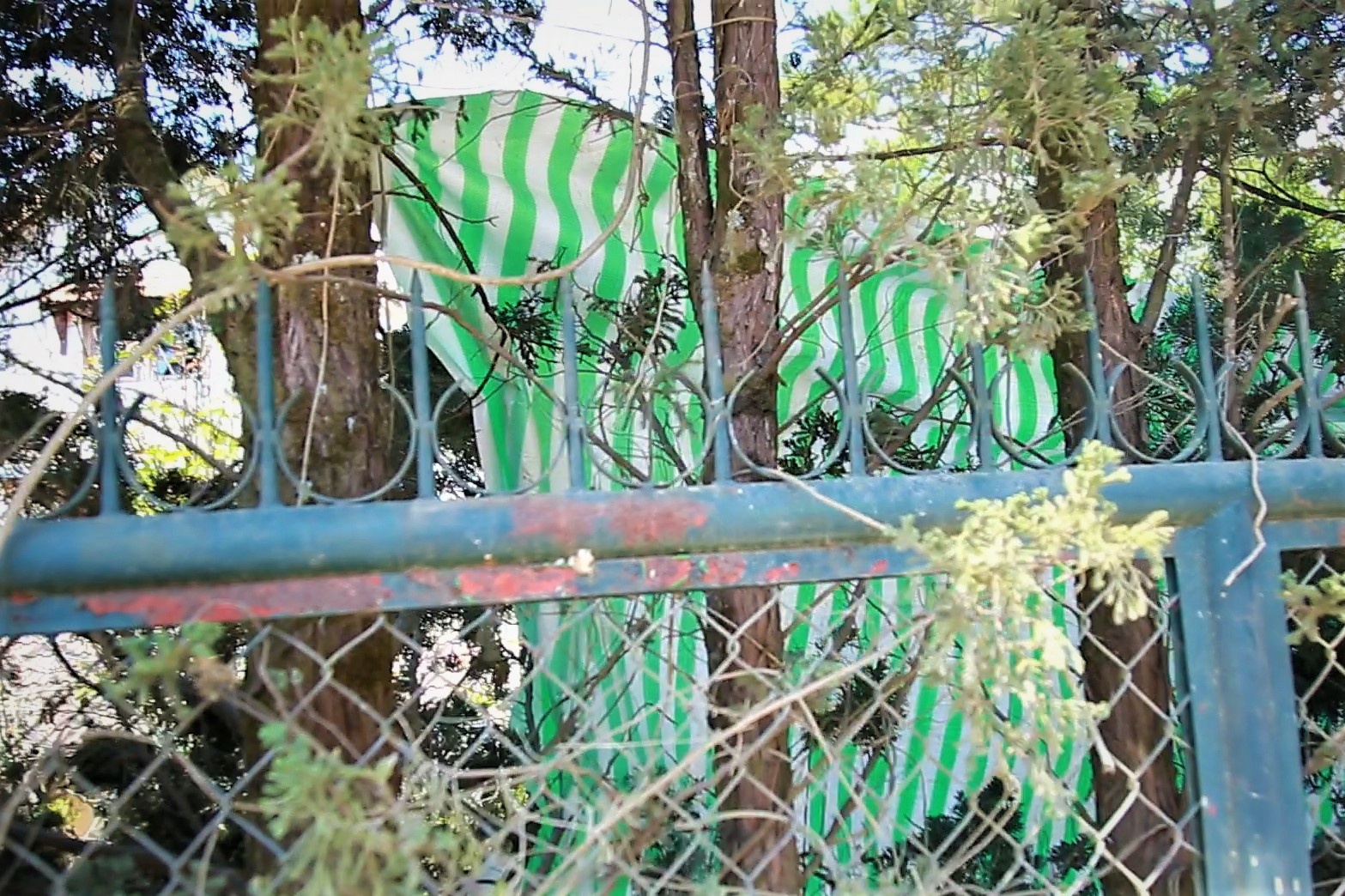 Biet thu to chuc le cuoi Toc Tien va Hoang Touliver che bat kin mit hinh anh