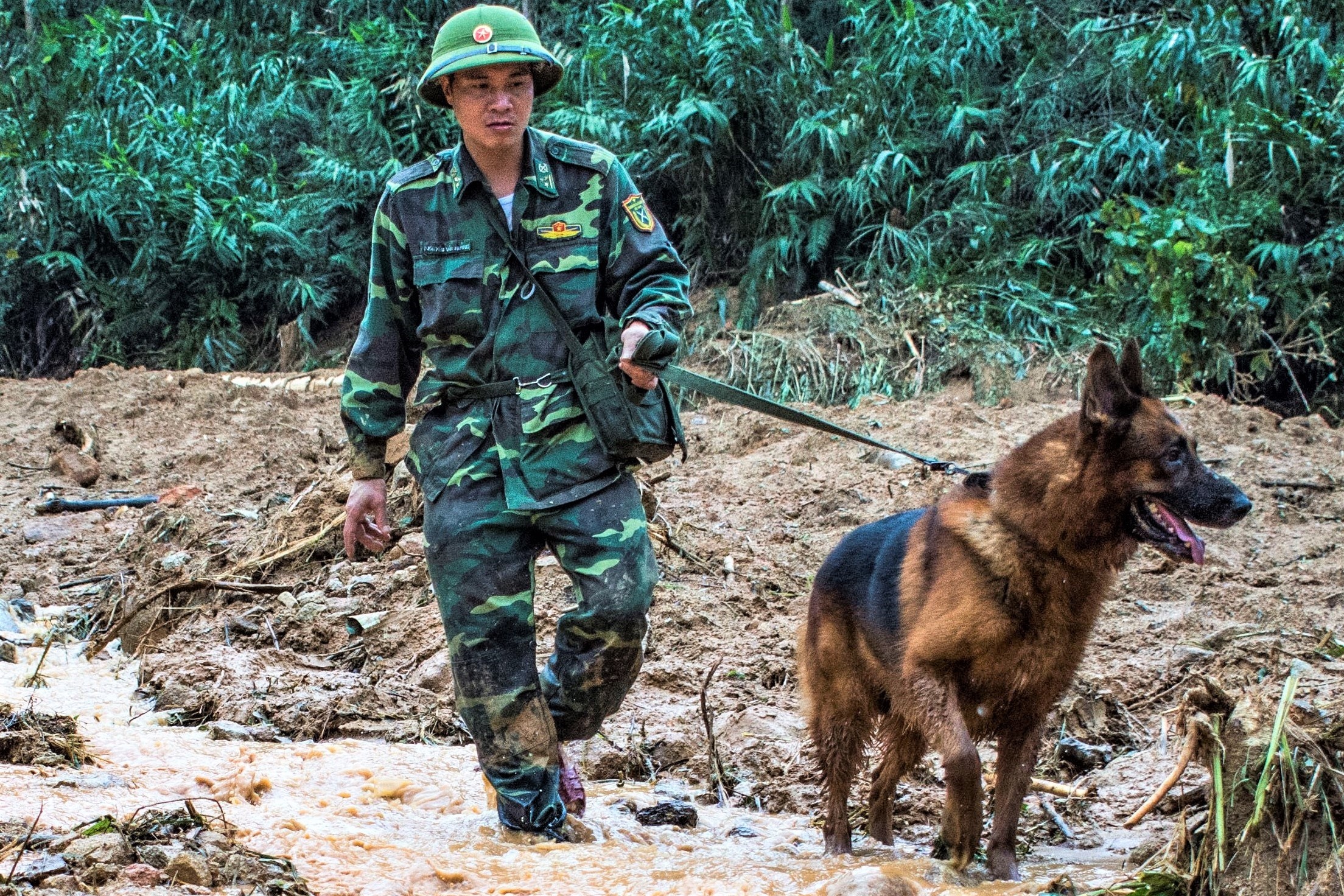 3 canh khuyen tham gia tim kiem nan nhan o tieu khu 67 hinh anh