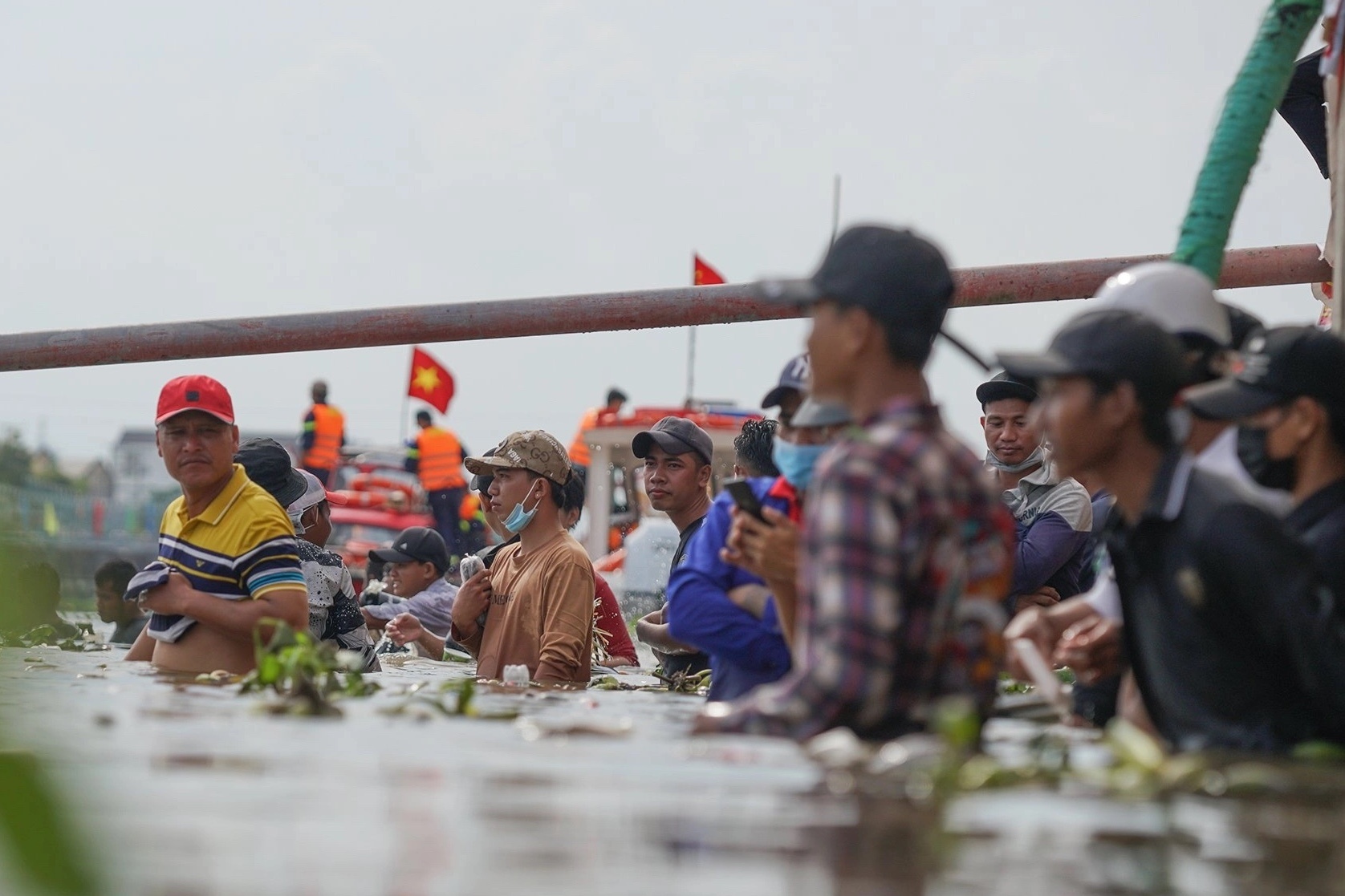 Loi song, leo cay xem dua ghe ngo lon nhat mien Tay hinh anh