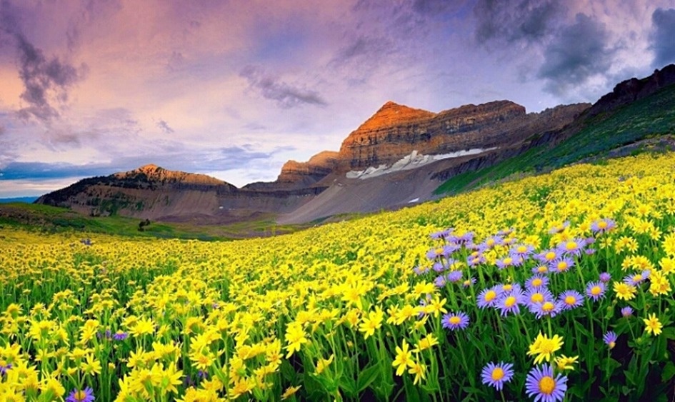 Thung lung An Do me hoac anh 5