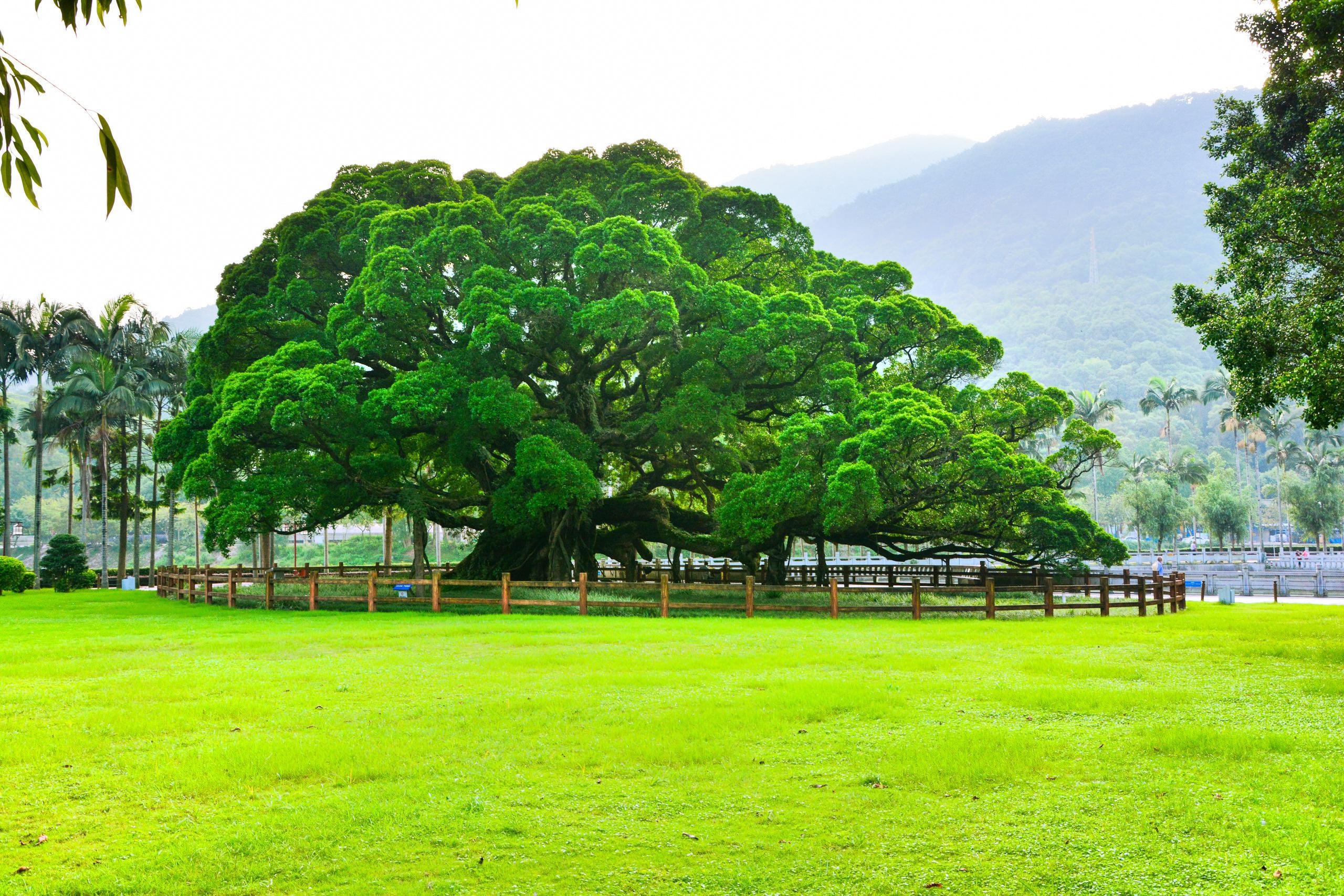 Phúc Châu ảnh 6 Phuc Chau anh 6