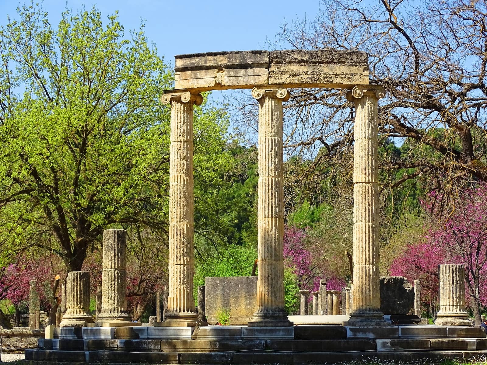 Thanh dia Olympia co gi dac biet? hinh anh