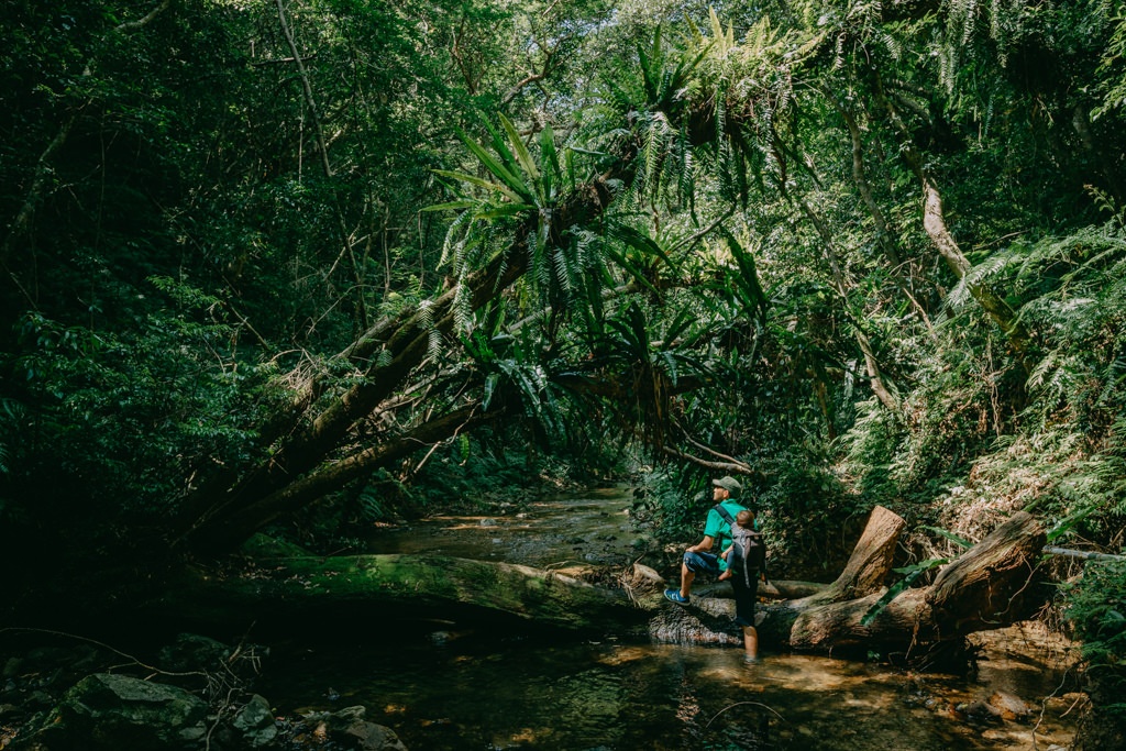 Di san tu nhien chau A anh 4