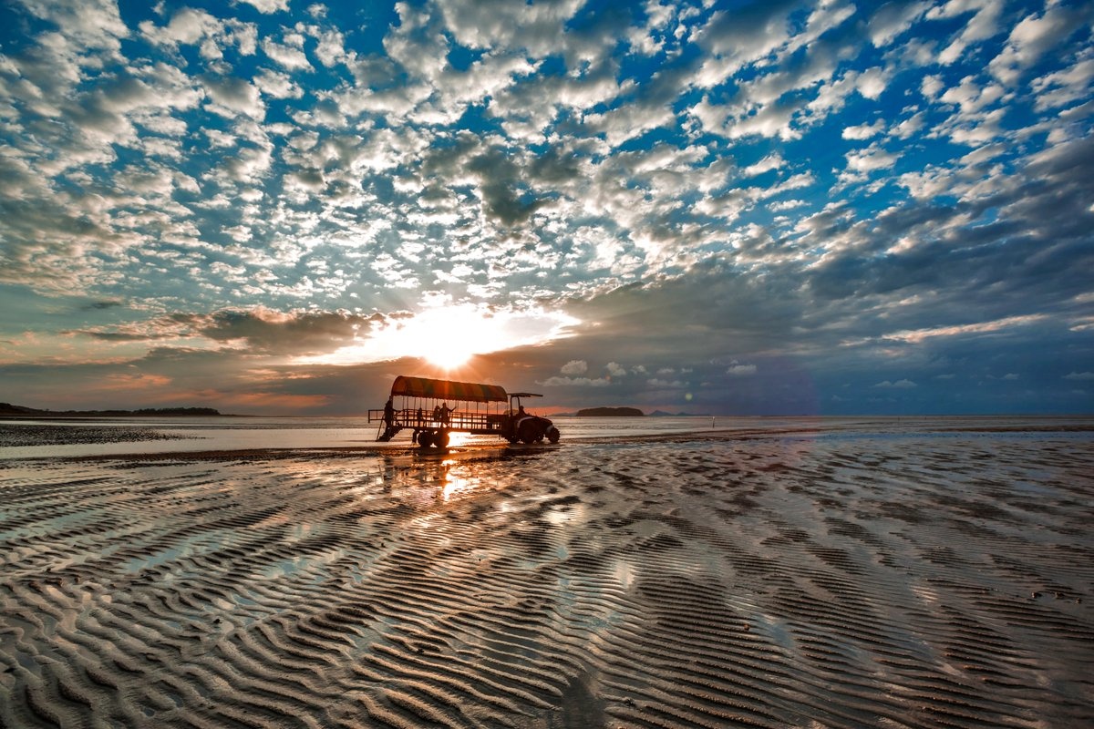 Di san tu nhien chau A anh 2