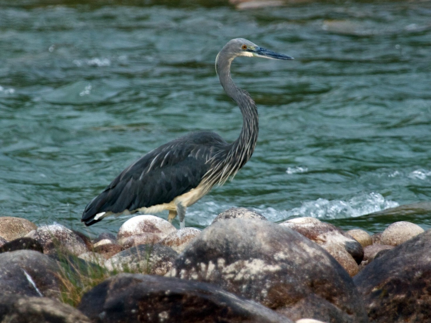 Bien doi khi hau anh 2