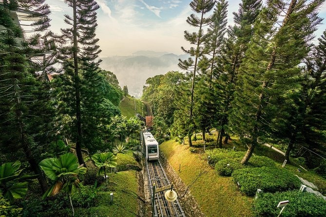 Khu bao ton co rung nhiet doi trieu nam tuoi o Malaysia hinh anh