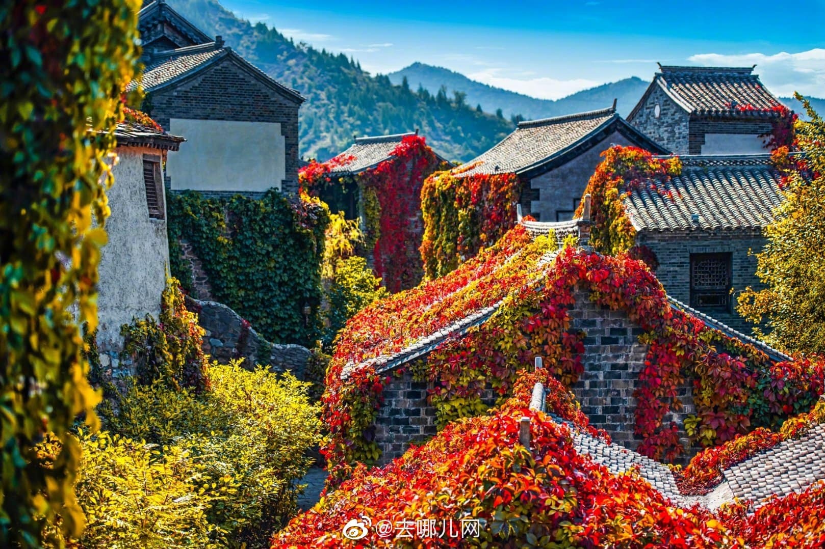 Mua thu Co Bac thuy tran anh 3