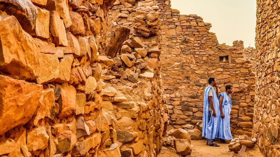 Nguoi dan ong mau xanh anh 8