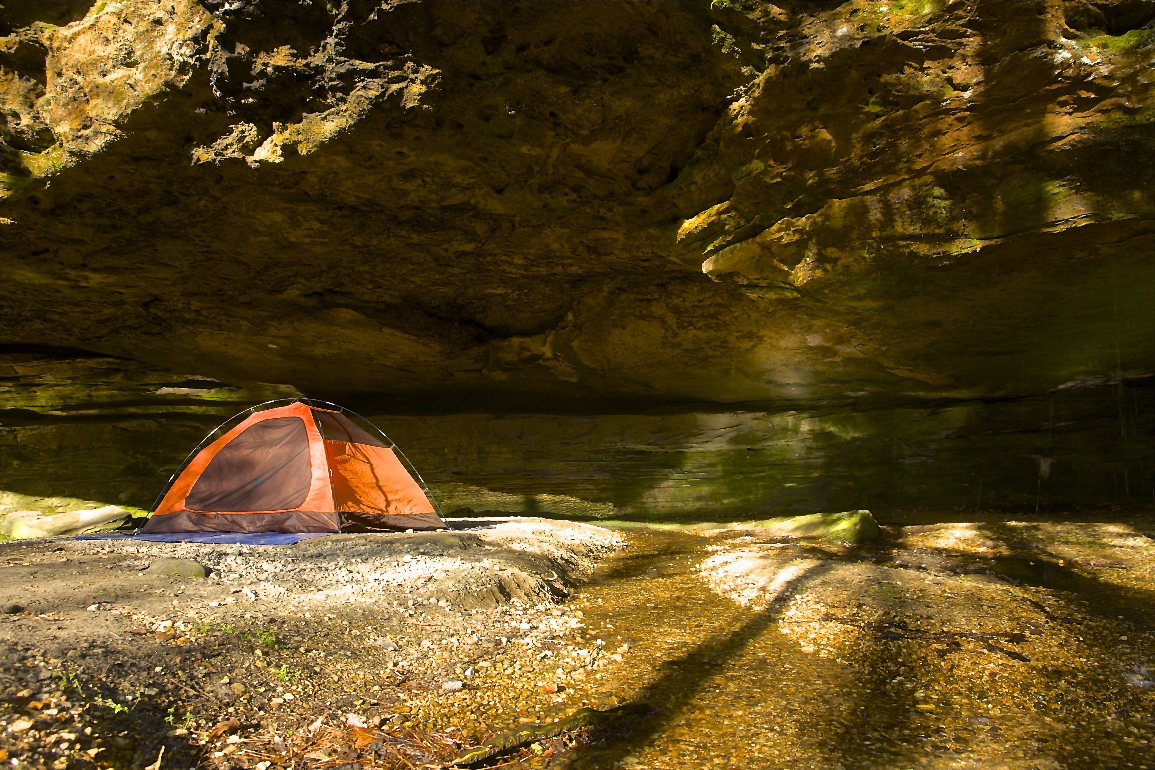 Phát quang sinh học ảnh 6 Phat quang sinh hoc anh 6