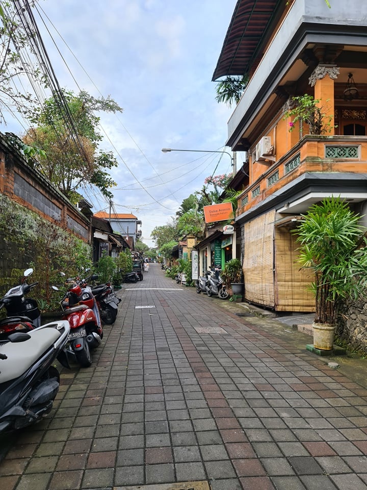 Bali sau dich anh 11