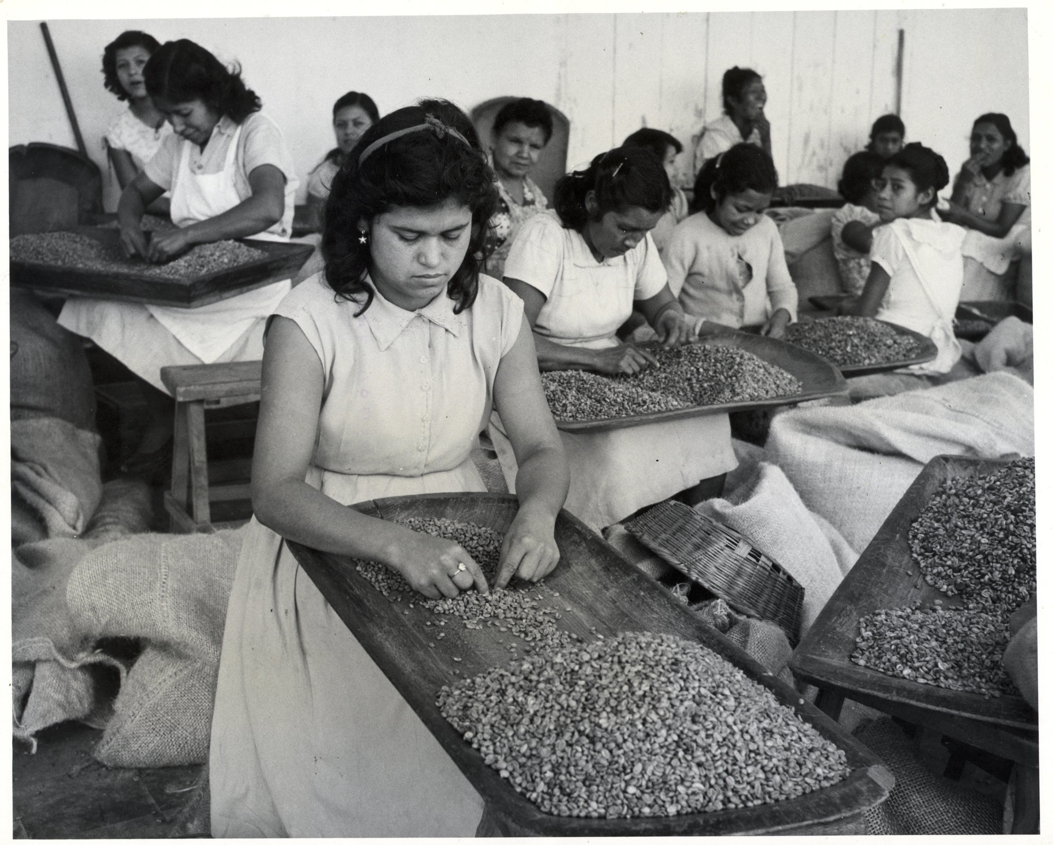 Ca phe El Salvador; Ong trum ca phe; Chu nghia tu ban; thi truong ca phe; do uong toan cau anh 2