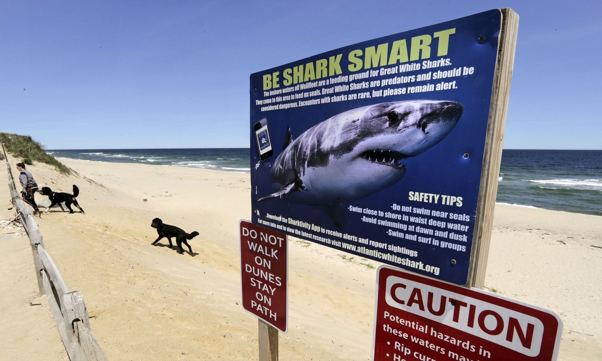 Hieu lam ve ca map anh 1