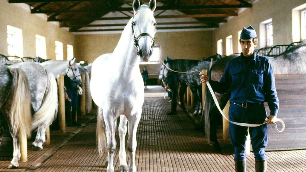 Sach anh the gioi 80 nam anh 7