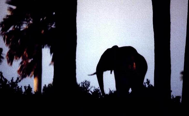 Sach anh the gioi 80 nam anh 5