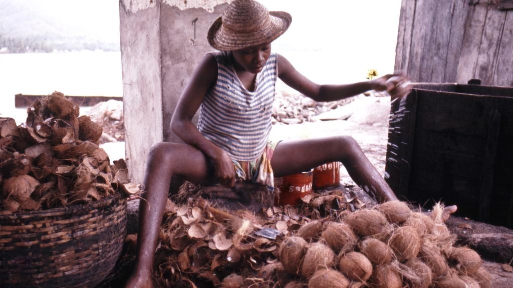 Moi cung bac cam xuc cua bay chau luc hinh anh