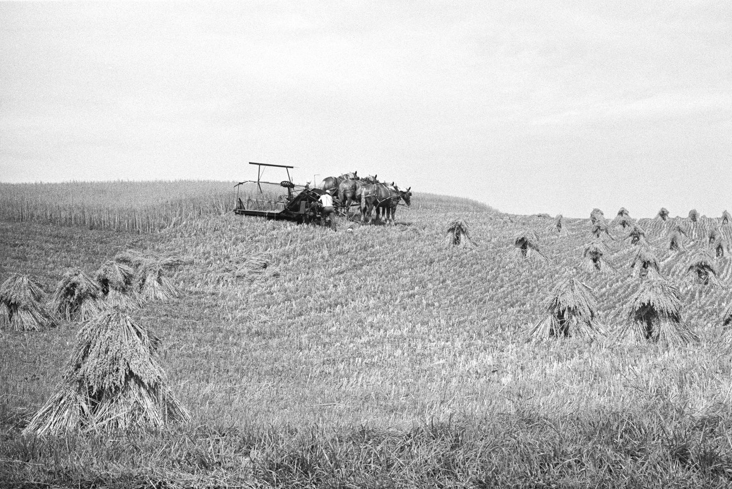 Sach anh bang Ohio anh 2