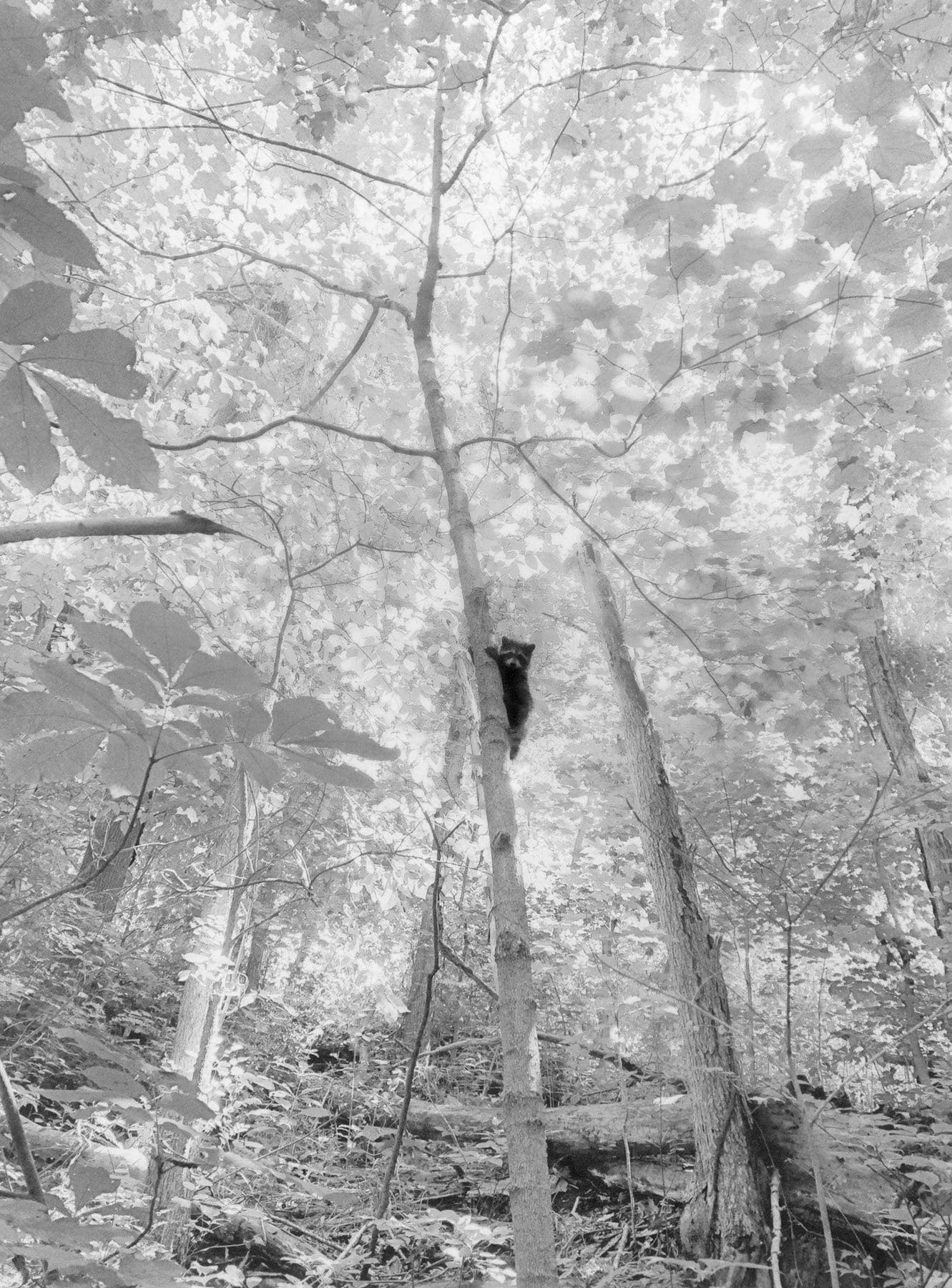 Sach anh bang Ohio anh 3