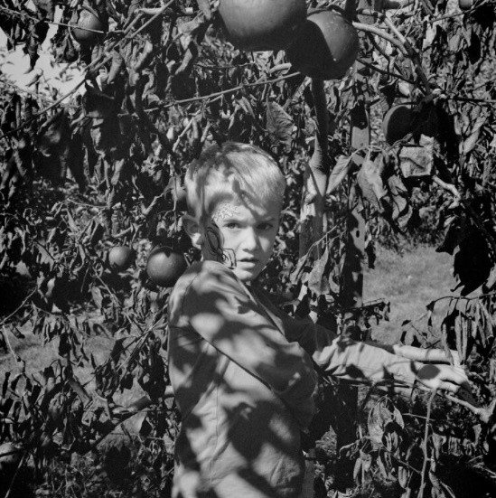 Sach anh bang Ohio anh 9