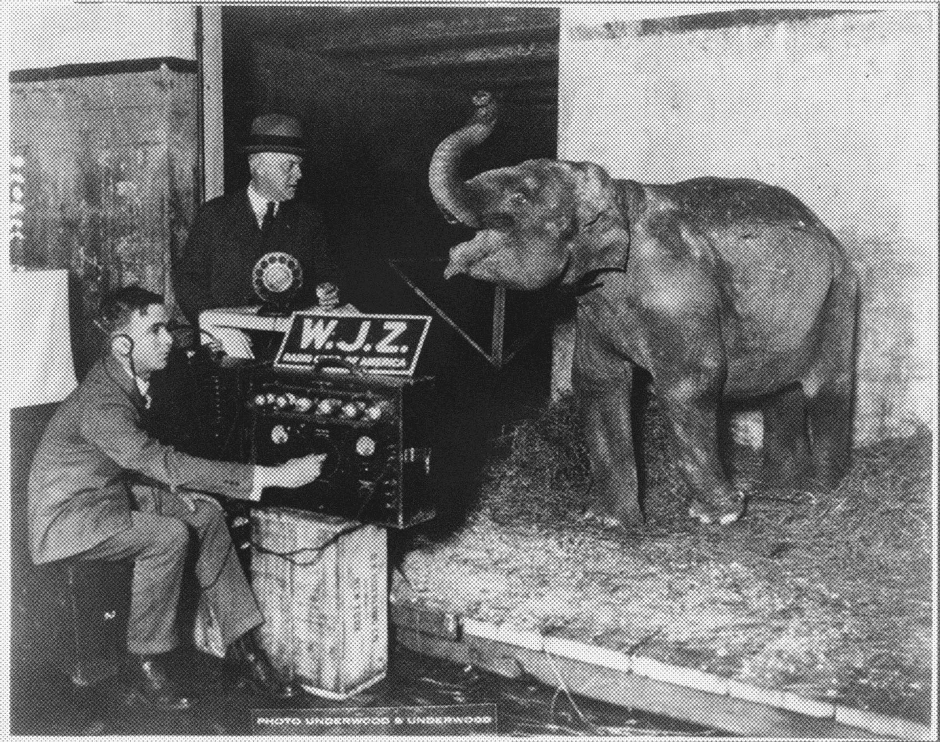 Sach anh ve dong vat hoat dong cung con nguoi anh 7