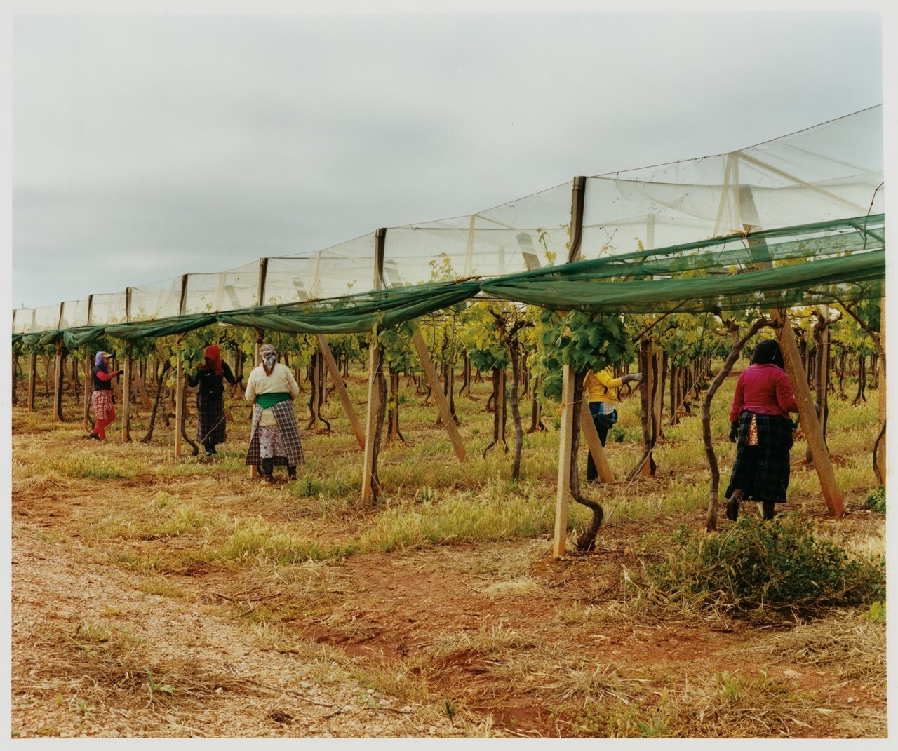 Doi song thanh nien Morocco anh 6