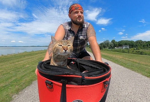 Hanh trinh cua ong chu bat dac di va chu meo Nala hinh anh